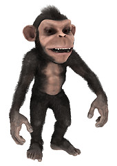 Image showing Little Chimpanzee