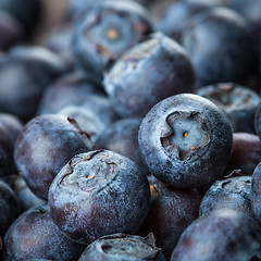 Image showing Blueberries background