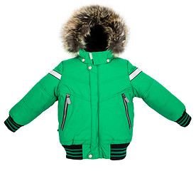 Image showing Warm jacket isolated