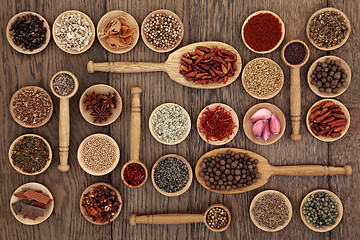 Image showing Spice and Herb Sampler