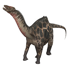 Image showing Dinosaur Dicraeosaurus