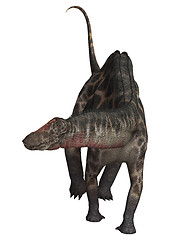 Image showing Dinosaur Dicraeosaurus