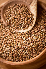 Image showing buckwheat 