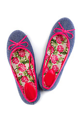 Image showing Lightweight women's shoes with floral pattern