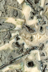 Image showing Macro of blue cheese