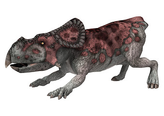 Image showing Dinosaur Protoceratops