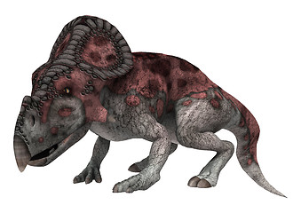 Image showing Dinosaur Protoceratops