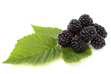 Image showing Ripe berry blackberry closeup.