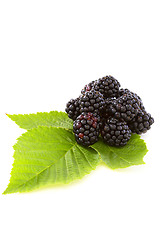 Image showing Blackberries.