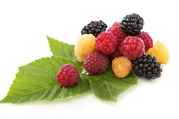 Image showing  Raspberry and blackberry.