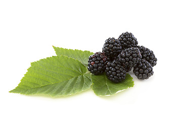 Image showing Ripe blackberries.