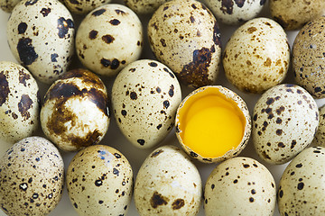 Image showing Quail eggs and egg with two yolks.