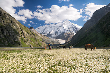 Image showing Kyrgyzstan near Karakol
