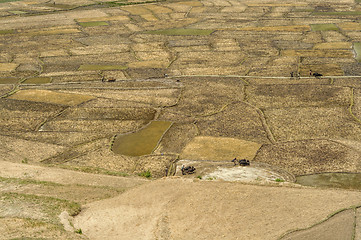 Image showing Fields in Nepal