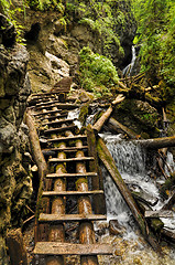 Image showing Slovak Paradise National Park