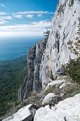 Image showing Yalta in Ukraine