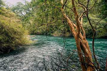 Image showing Parque Nacional Vicente Perez Rosales