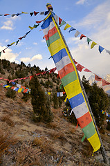 Image showing Flags hanging over trees, India