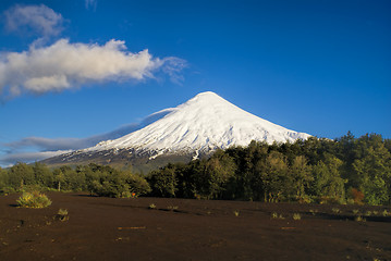 Image showing Parque Nacional Vicente Perez Rosales