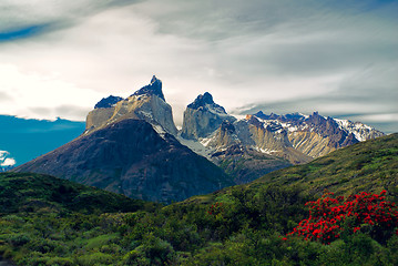 Image showing Torres del Paine