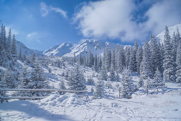 Image showing Idyllic winter