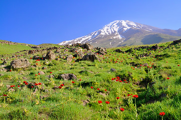 Image showing Damavand in Iran