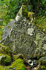 Image showing Carved signs