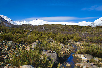 Image showing Radal Siete Tazas National Park