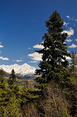 Image showing Caucasus Mountains, Svaneti