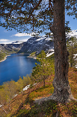 Image showing Trolltunga, Norway 