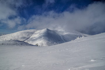 Image showing Snowy slopes