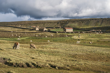 Image showing Ausangate, Peru