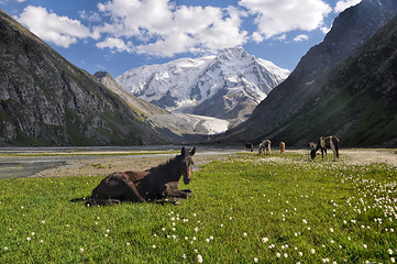 Image showing Tien-Shan in Kyrgyzstan