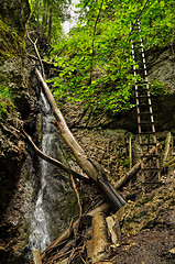 Image showing Slovak Paradise National Park