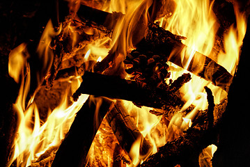 Image showing Campfire