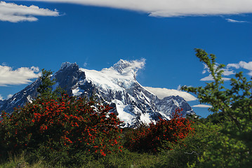 Image showing Torres del Paine