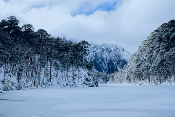 Image showing Huerquehe