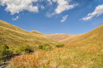 Image showing Grasslands in Kyrgyzstan