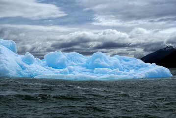 Image showing Glaciers in Laguna San Rafael