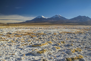 Image showing Sajama