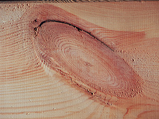 Image showing Pine wood background