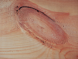 Image showing Pine wood background