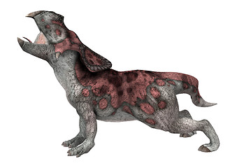 Image showing Dinosaur Protoceratops