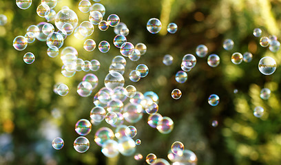 Image showing Soap bubbles