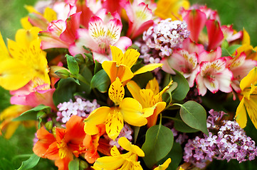 Image showing bouquet of beautiful multicolored flowers