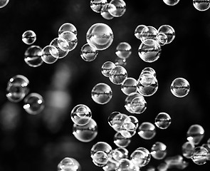 Image showing Soap bubbles