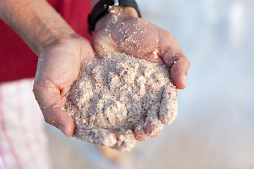 Image showing Bermuda Pink Sands Close Up