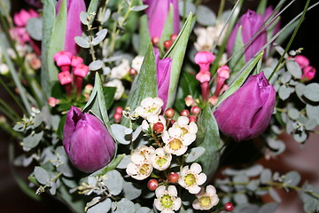 Image showing Bouquet of Tulips