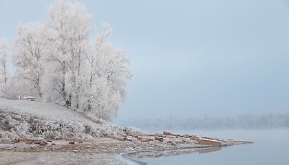 Image showing morning fog in winter