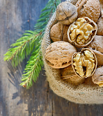 Image showing dried walnut in sack and pine tree twigs